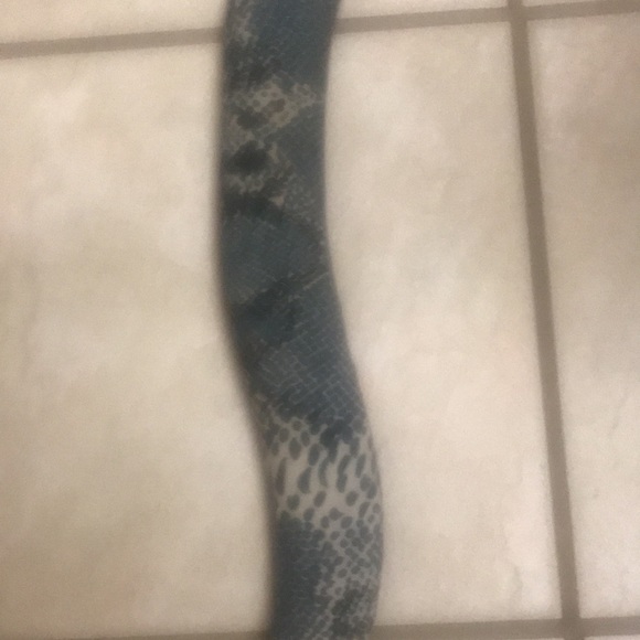 Faux Snake - Picture 5 of 12